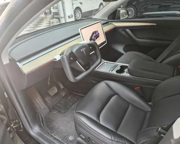 Model Y 2022 Model Rear-wheel drive version – фото 8