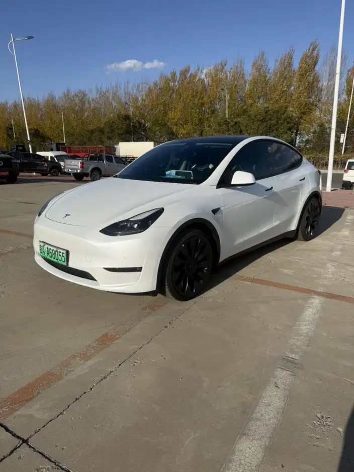 Model Y 2023 Model Performance High performance All-wheel drive version – фото 1