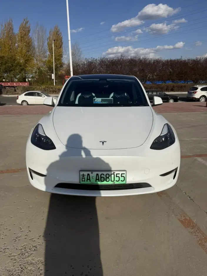 Model Y 2023 Model Performance High performance All-wheel drive version – фото 2