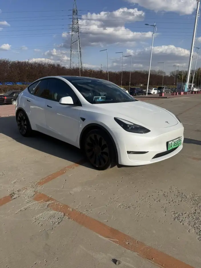 Model Y 2023 Model Performance High performance All-wheel drive version – фото 3