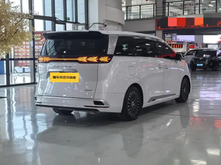 DENZA D9 DM 2022 Model 970 4WD Flagship Model – фото 6