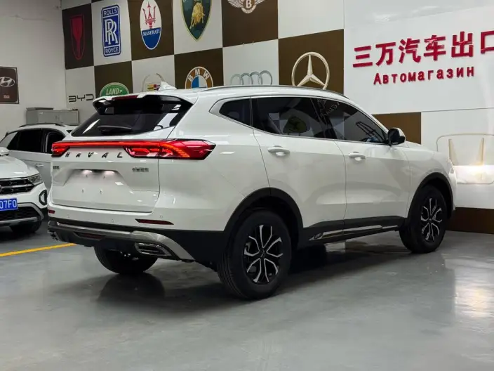 Haval H6 2021 Model Guo Trendy Edition 1.5T Automatic Urban Edition – фото 6