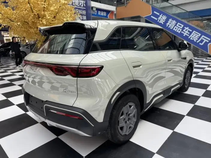 Yuan UP 2025 Model Smart Driving Edition 401KM Vitality Edition – фото 6