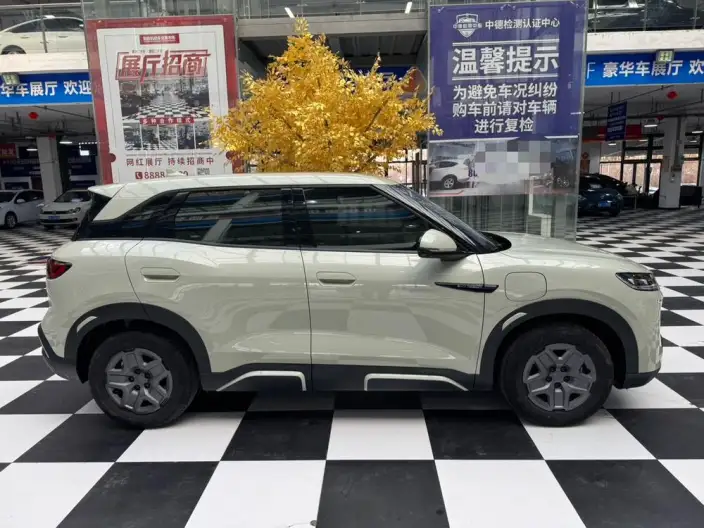 Yuan UP 2025 Model Smart Driving Edition 401KM Vitality Edition – фото 7