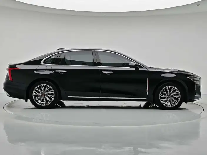 Hongqi H5 2023 Model 2.0T Automatic Flag Enjoy Edition – фото 8