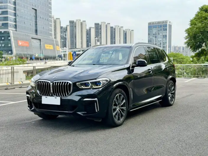 BMW X5 2022 Model xDrive 30Li Exclusive Model M Sports Set – фото 1