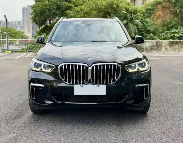 BMW X5 2022 Model xDrive 30Li Exclusive Model M Sports Set – фото 2