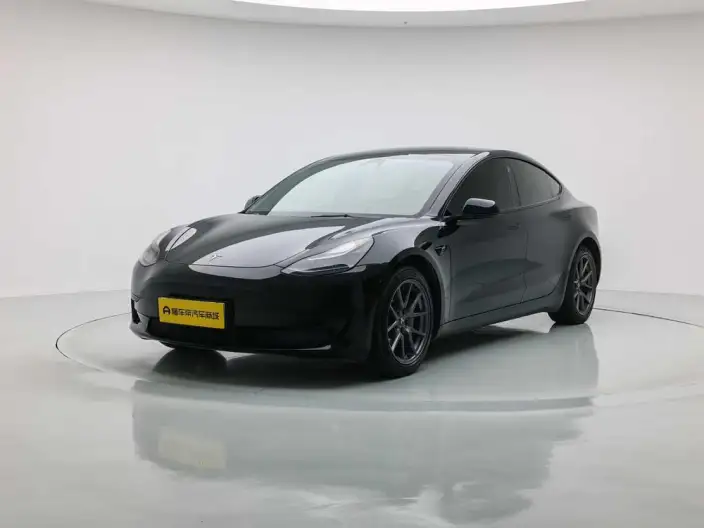 Model 3 2022 Model Rear-wheel drive version – фото 1