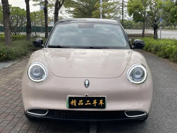 ORA Good Cat 2022 Model 400km Standard Battery Life Luxury Model Ternary lithium