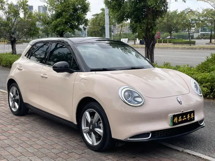ORA Good Cat 2022 Model 400km Standard Battery Life Luxury Model Ternary lithium