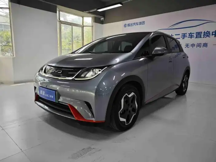 BYD Dolphin 2021 Model Fashion Edition – фото 1