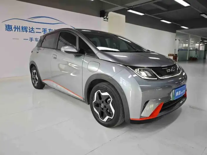 BYD Dolphin 2021 Model Fashion Edition – фото 3