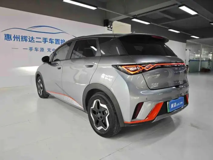 BYD Dolphin 2021 Model Fashion Edition – фото 4