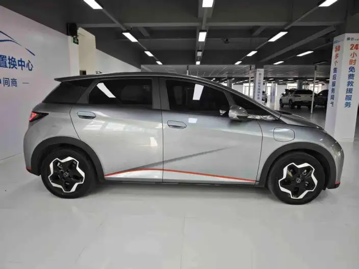 BYD Dolphin 2021 Model Fashion Edition – фото 7