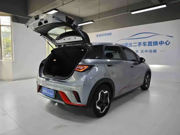 BYD Dolphin 2021 Model Fashion Edition – фото 10