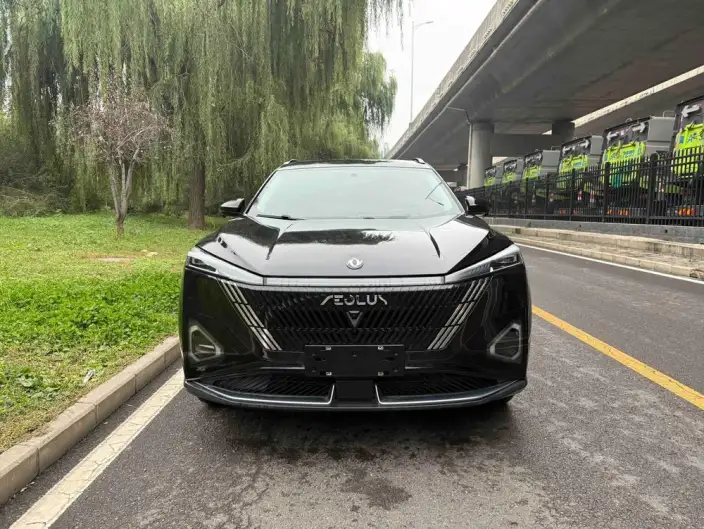 Dongfeng Haohan 2024 Model Honor Edition 1.5T DH-i Luxury Model
