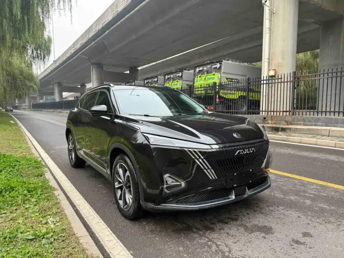 Dongfeng Haohan 2024 Model Honor Edition 1.5T DH-i Luxury Model