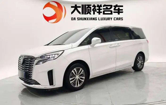 Buick GL8 2023 Model ES Luzun 2.0T Exclusive Model – фото 1