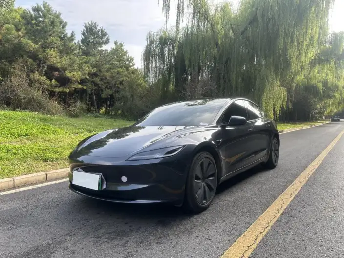 Model 3 2023 Model Rear-wheel drive version – фото 1