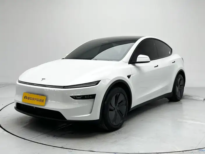 Model Y 2025 Model Rear-wheel drive version – фото 1