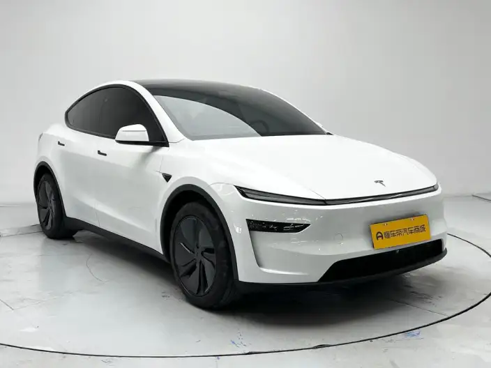 Model Y 2025 Model Rear-wheel drive version – фото 3