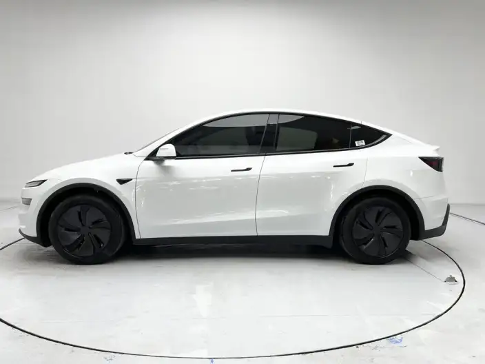 Model Y 2025 Model Rear-wheel drive version – фото 4