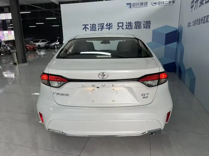 Lingshang 2023 Model 2.0L Deluxe Edition – фото 4