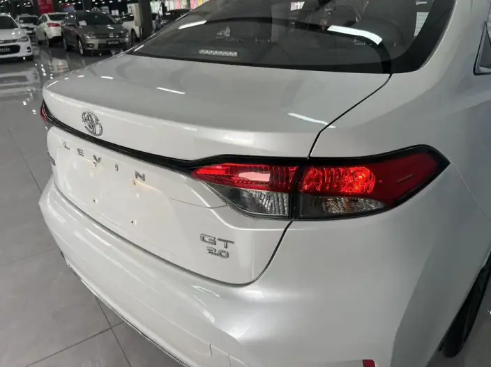Lingshang 2023 Model 2.0L Deluxe Edition – фото 5