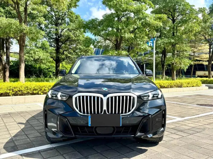 BMW X5 2025 Model xDrive30Li Exclusive Model M Sports Night Set – фото 2