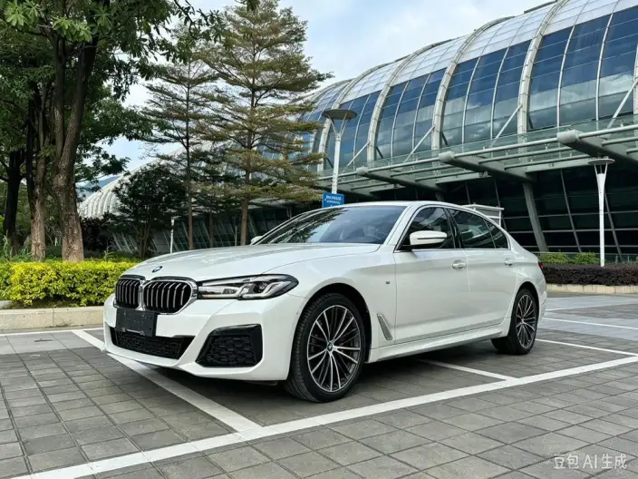 BMW 5 Series 2023 Model Facelift 530Li Leading Model M Sports Set – фото 1