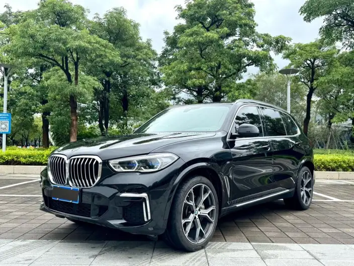 BMW X5 2022 Model xDrive 40Li M Sports Set – фото 1