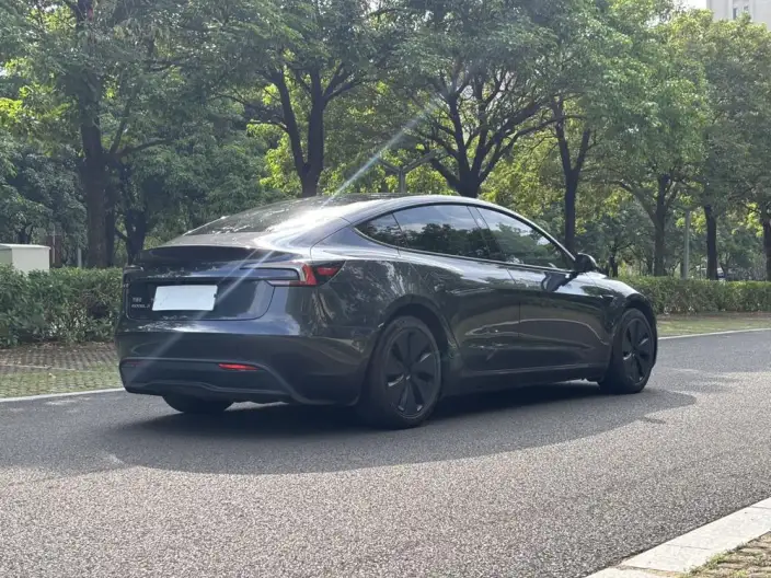 Model 3 2023 Model Rear-wheel drive version – фото 6
