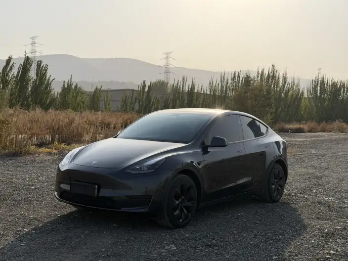 Model Y 2024 Model Rear-wheel drive version – фото 1