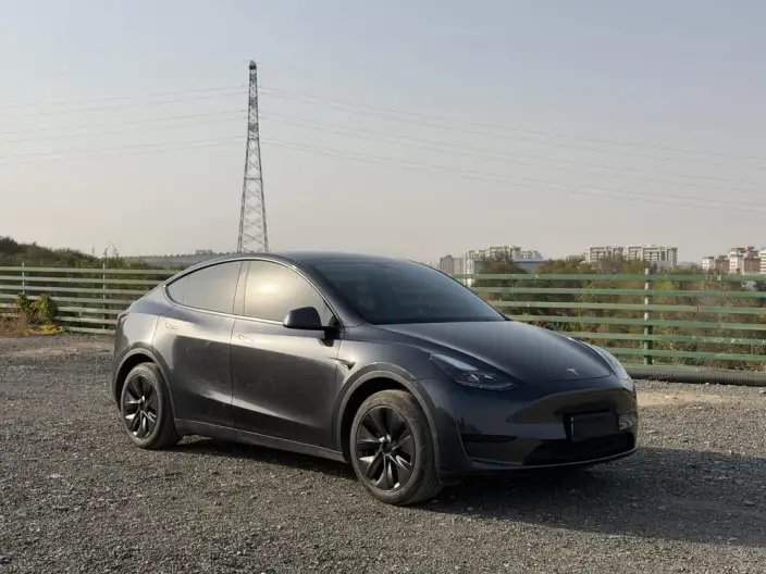 Model Y 2024 Model Rear-wheel drive version – фото 3