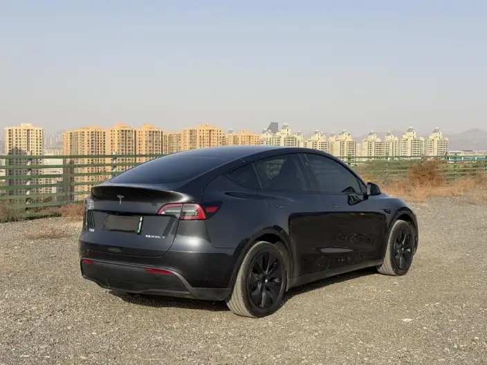 Model Y 2024 Model Rear-wheel drive version – фото 6