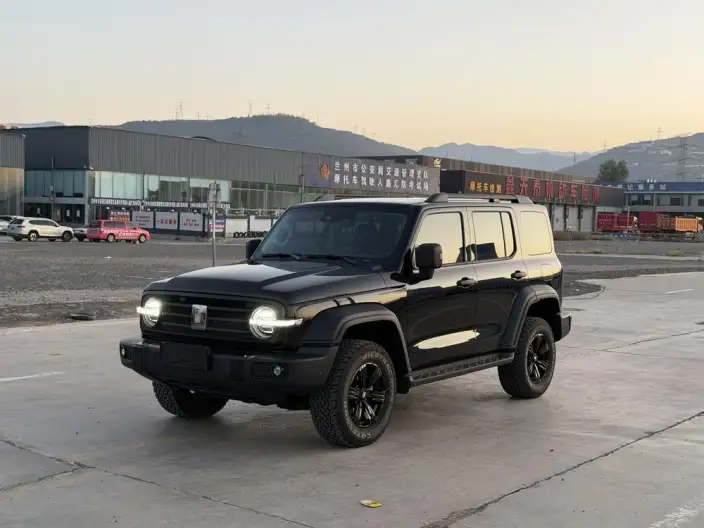 Tank 300 2025 Model 2.4T Diesel Edition