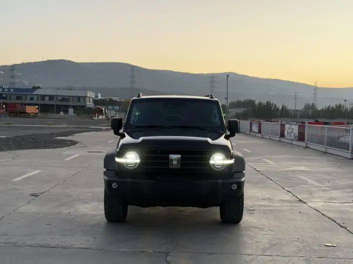 Tank 300 2025 Model 2.4T Diesel Edition