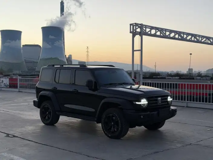 Tank 300 2025 Model 2.4T Diesel Edition