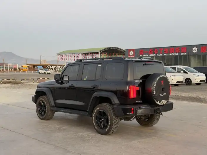 Tank 300 2025 Model 2.4T Diesel Edition