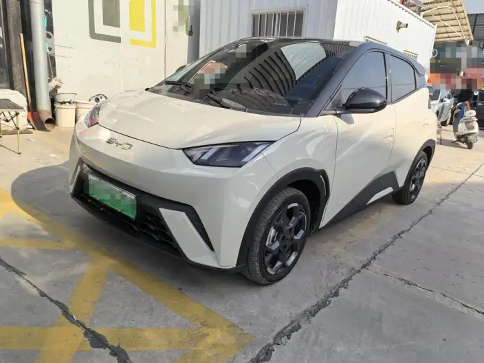 BYD Seagull 2025 Model 305KM Free Edition – фото 1