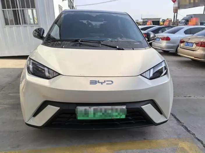 BYD Seagull 2025 Model 305KM Free Edition – фото 2