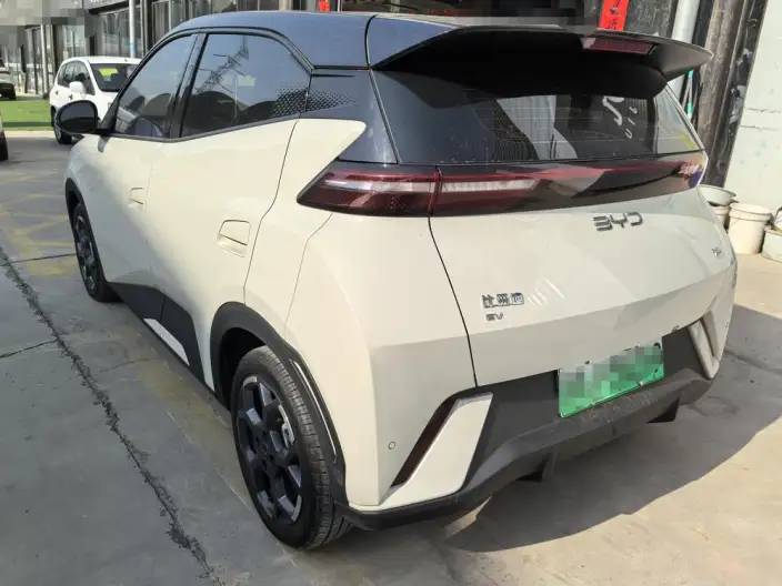 BYD Seagull 2025 Model 305KM Free Edition – фото 4