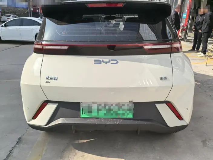 BYD Seagull 2025 Model 305KM Free Edition – фото 5