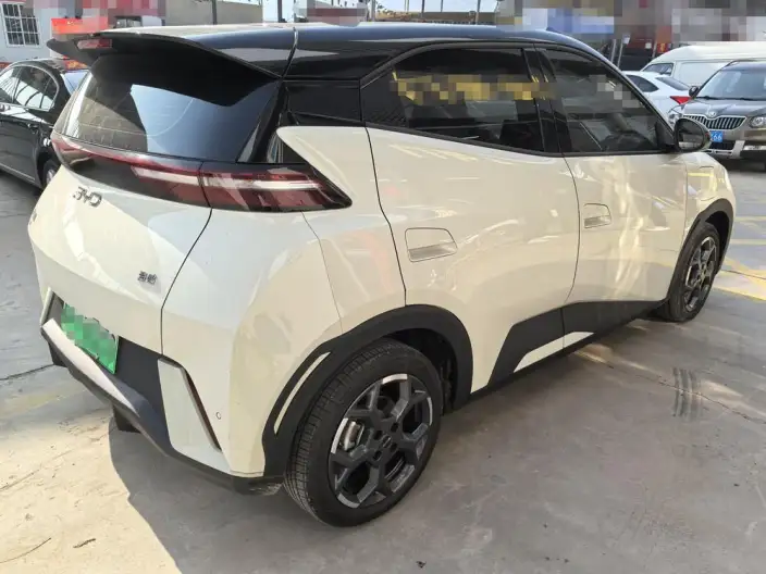 BYD Seagull 2025 Model 305KM Free Edition – фото 6