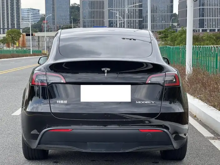 Model Y 2022 Model Facelift Rear-wheel drive version – фото 5