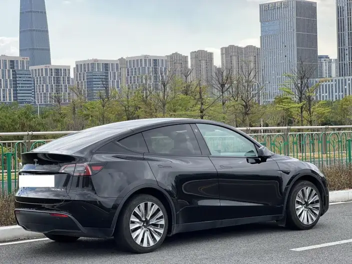 Model Y 2022 Model Facelift Rear-wheel drive version – фото 6