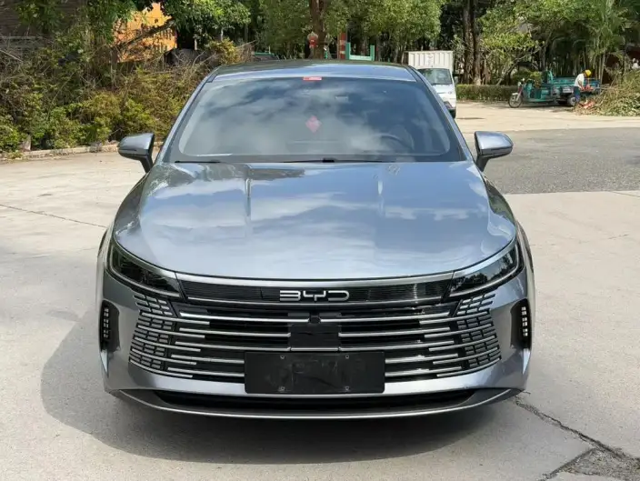 BYD Destroyer 05 2024 Model Honor Edition DM-i 55KM Luxury Model – фото 2