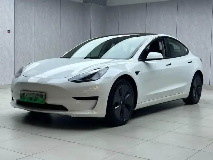 Model 3 2022 Model Rear-wheel drive version – фото 1