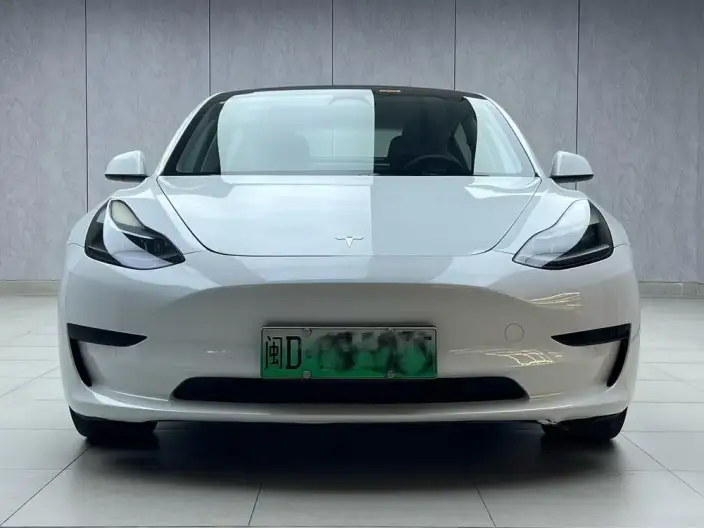 Model 3 2022 Model Rear-wheel drive version – фото 2