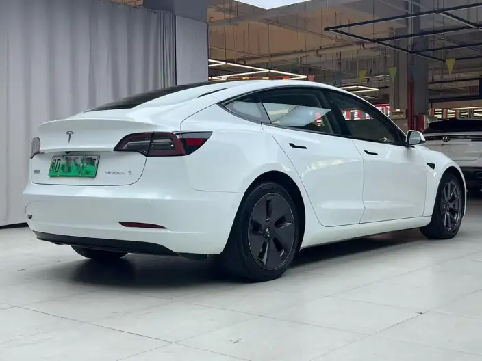Model 3 2022 Model Rear-wheel drive version – фото 5